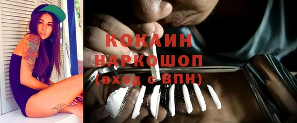 дмт Арсеньев