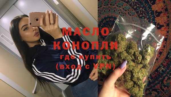 стаф Аркадак