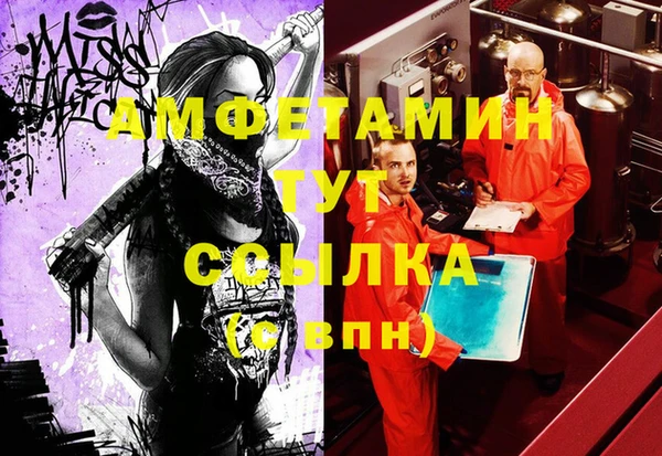 стаф Аркадак