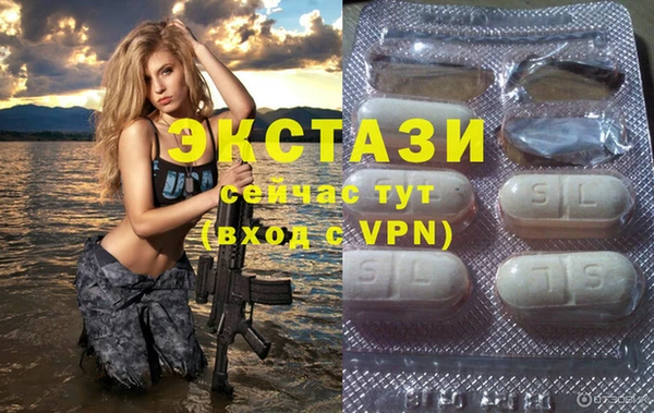 стаф Аркадак