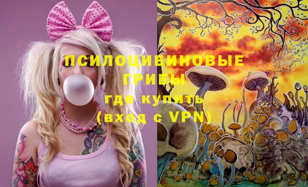 дмт Арсеньев