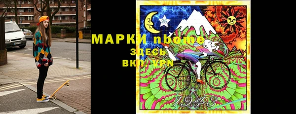 стаф Аркадак