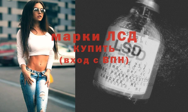 стаф Аркадак