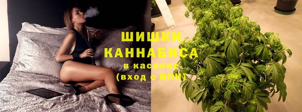 стаф Аркадак