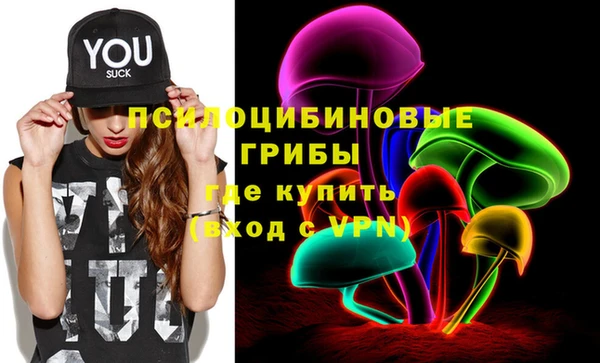 прущая мука Армянск