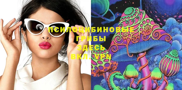стаф Аркадак