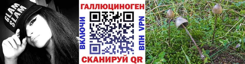 MEGA сайт Тейково Псилоцибиновые грибы Magic Shrooms